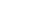 Bolsones Express
